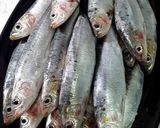 Foto del paso 1 de la receta Montaditos de sardinas con majado de cardamomo y algunas cositas