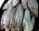 Foto del paso 1 de la receta: Montaditos de sardinas con majado de cardamomo y algunas cositas