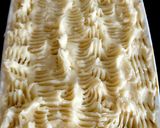 A picture of step 9 of My Left over Gammon Creamy Pie 🤗🤗.