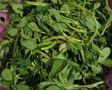 A picture of step 1 of Aloo Methi Paratha.