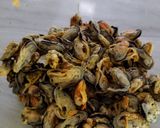 Foto langkah ke 1 dari resep Kerang Hijau Bumbu Pedas.