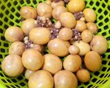 Hình bước làm 1 của món Trứng gà non xào mướp