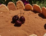 Foto del paso 12 de la receta: Tiramisú