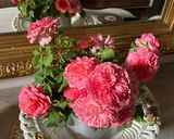 Foto del paso 1 de la receta: Mermelada de pétalos de rosas