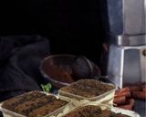 Foto del passaggio 6 della ricetta Tiramisù ai Pavesini in Monoporzioni