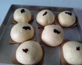 Foto langkah ke 5 dari resep Bakpao.