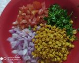 ચણા દાળ ની ભેળ (Chana Dal Bhel Recipe In Gujarati) રેસીપી સ્ટેપ1ફોટો