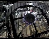 صورة لخطوة 8 من وصفة خبز السوق