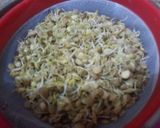 Foto del paso 4 de la receta: Ensalada con brotes germinados de Lentejas