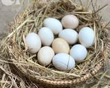 Hình bước làm 1 của món Trứng Ngâm Xì Dầu Siêu Ngon - Trứng Ngâm Nước Tương