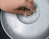Foto langkah ke 5 dari resep Bakso Oseng Labu Siam.