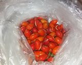 Foto langkah ke 2 dari resep Tumis Kulit melinjo kecambah kedaelai.