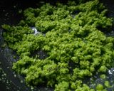 A picture of step 1 of Airfried Green Peas Ghughara.