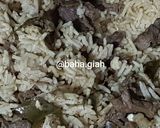 Foto langkah ke 4 dari resep Nasi Bukhari Sapi Magic Com.