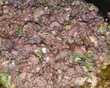 Foto del paso 3 de la receta: Hongos negros o Hongos portobello rellenos con morcilla 😀