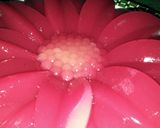 Foto langkah ke 8 dari resep Puding Naga.