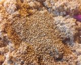 Foto del paso 3 de la receta: Galletón de manzana, pasas y harina de avena
