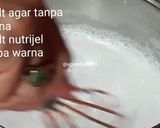 Foto langkah ke 3 dari resep 💕PUDING CINCAU KOPI PANDAN.