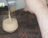 Foto del paso 4 de la receta: Batido de turrón