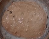 Foto langkah ke 8 dari resep Double Chocolate Sourdough Bread (Oven Tangkring).
