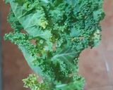 Foto del paso 5 de la receta: Tortilla de kale y vegetales 🥚