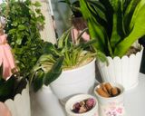 عکس مرحله 1 از دستور چایی مخصوص زمستون
