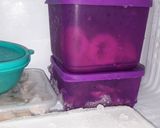 Foto langkah ke 6 dari resep Onion Ring Kress.