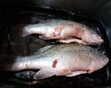 Foto del passaggio 1 della ricetta Black bass (o persico trota)