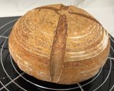 A picture of step 10 of Rustic Gluten-Free Sourdough Boule.