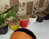 عکس مرحله 2 از دستور کیک پرتقال و کاکائو با سس شکلاتی
