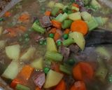 Foto langkah ke 5 dari resep Simple Beef Stew.