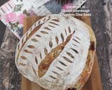 Foto langkah ke 12 dari resep Classic Sourdough Tanpa Stretch and Fold.