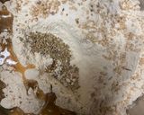 A picture of step 1 of Simple Paratha.