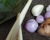 Foto langkah ke 1 dari resep Isi Piringku - Nasi dengan Opor Ayam.