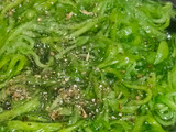 દૂધીના લચ્છા(dudhi na lchha in Gujarati recipe)