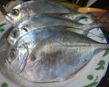 Foto langkah ke 1 dari resep Sop Ikan Kue.