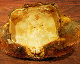 A picture of step 11 of Mike's Poseidon Platter With Dungeness Crab Side Salad.