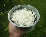 Foto langkah ke 3 dari resep Oreo Chesee Lumer.