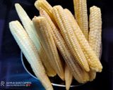 चिल्ली बेबी कॉर्न(Chilli beby corn recipe in Hindi) रेसिपी चरण 1 फोटो