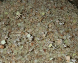 Foto del paso 1 de la receta: Guiso de lentejas