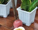Foto langkah ke 3 dari resep Sop buah.