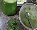 Foto langkah ke 4 dari resep Jus Kale Timun Mix Fruits (1).