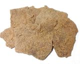 Foto del paso 2 de la receta: Filetitos de Cerdo adobados y empanados