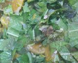 Foto del paso 2 de la receta: Aguja con ensalada cítrica de achicoria