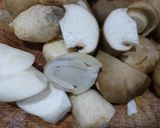 Hình bước làm 1 của món Mì căn kho nấm đậu hũ