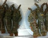 Foto langkah ke 1 dari resep Udang / Lobster Bakar💕.
