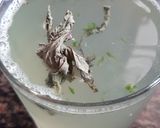 A picture of step 3 of ALovera juice.