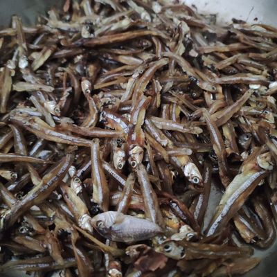 Langkah 4
