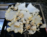 Foto del paso 1 de la receta: Sepia plancha con vinagreta de ajo y perejil