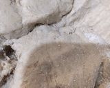 A picture of step 1 of Roti.